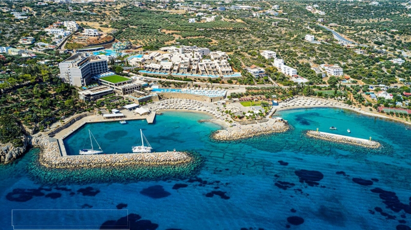 14th Biennial International 22q11.2 Scientific Conference Banner